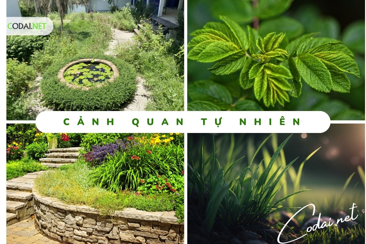 Tuổi Canh Thân trồng cây gì trước nhà để thu hút may mắn