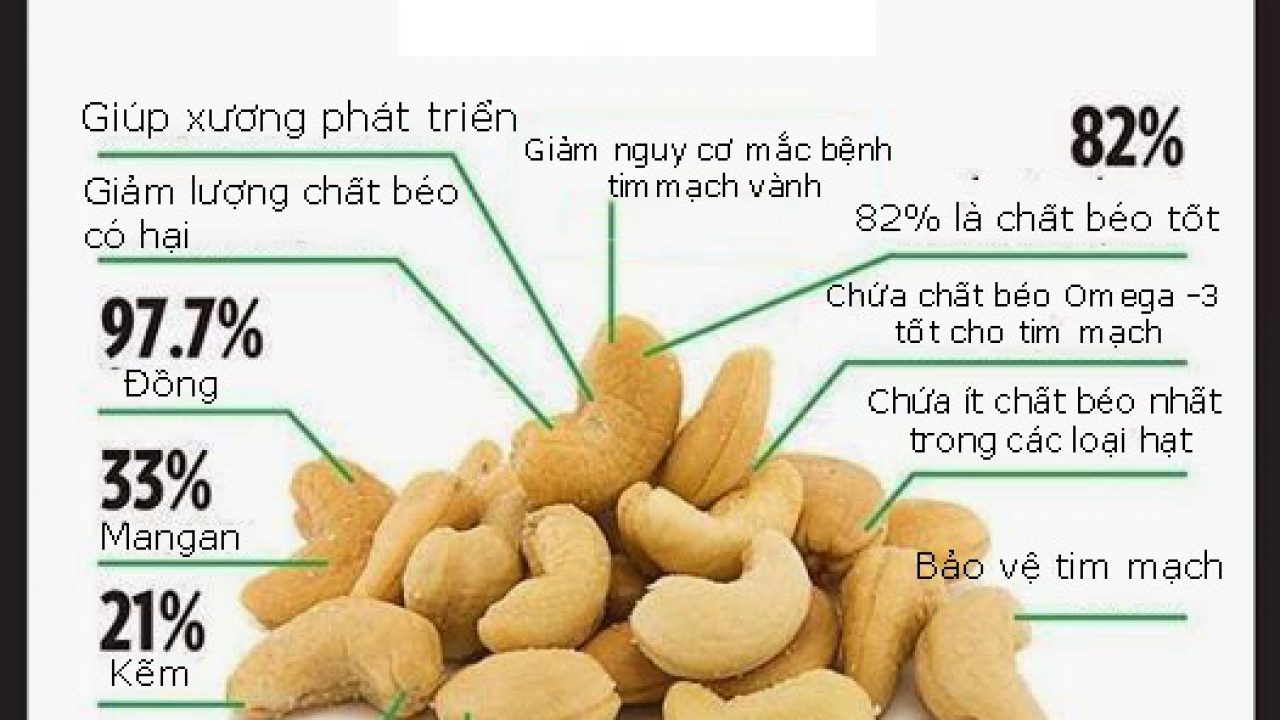 8 cách làm sữa hạt điều bằng máy làm sữa hạt Bear đơn giản tại nhà | Sube Việt Nam | Kênh phân phối đồ gia dụng và phụ kiện điện thoại thông minh