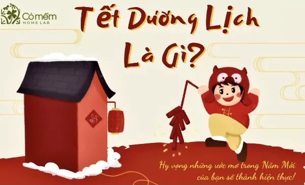 Tết dương lịch là gì? Của nước nào? 10++ Tập tục độc đáo