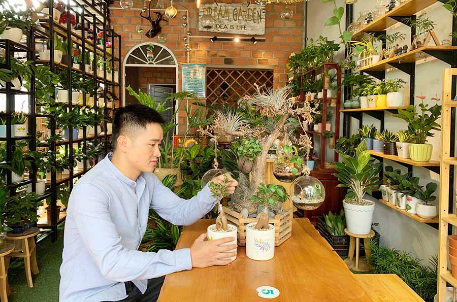 Kinh doanh cây cảnh: Cách kiếm "một vốn bốn lời" nhanh nhất