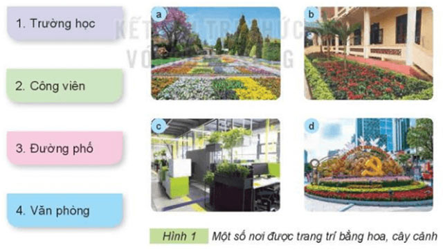 Công nghệ lớp 4 Bài 1: Lợi ích của hoa, cây cảnh đối với đời sống Giải Công nghệ lớp 4 Kết nối tri thức trang 6, 7, 8, 9, 10