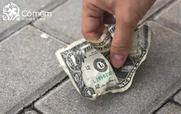 Mùng 1 tết dương lịch có kiêng gì không? 15+Việc nên kiêng