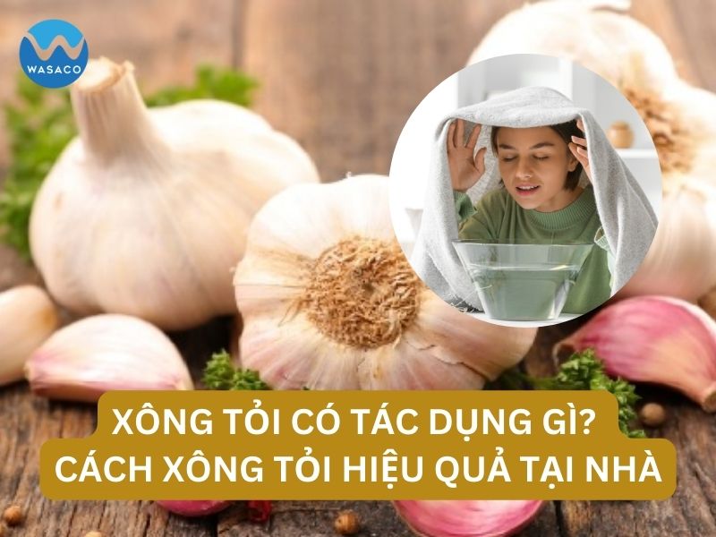 Xông tỏi có tác dụng gì? Cách xông tỏi tại nhà hiệu quả bất ngờ