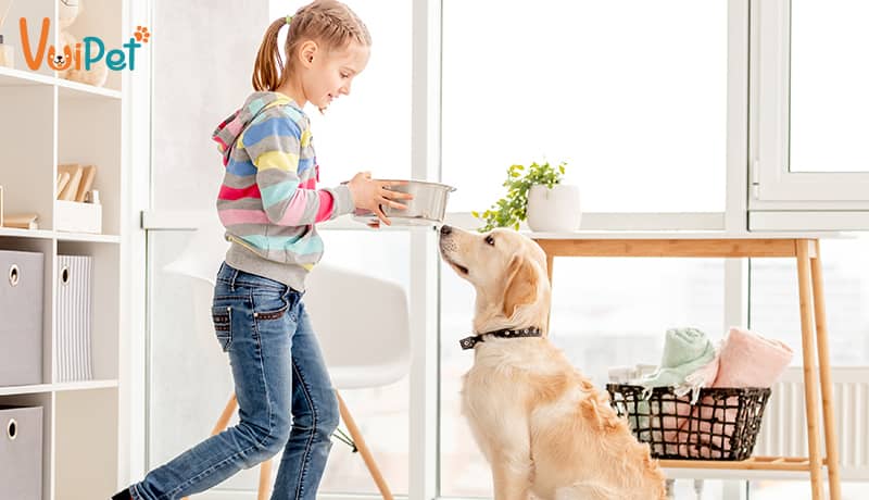 Cho chó con ăn gì? Thức ăn chó con chi tiết theo từng độ tuổi