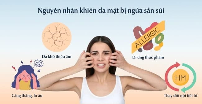 Da Mặt Bị Ngứa, Sần Sùi Phải Làm Sao? 10 Cách Điều Trị An Toàn