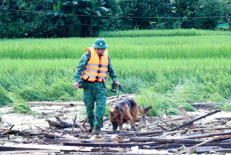 Giống chó nghiệp vụ giúp tìm người mất tích ở làng Nủ, từng sang tận đất Thổ cứu hộ, huấn luyện khắt khe thế nào?
