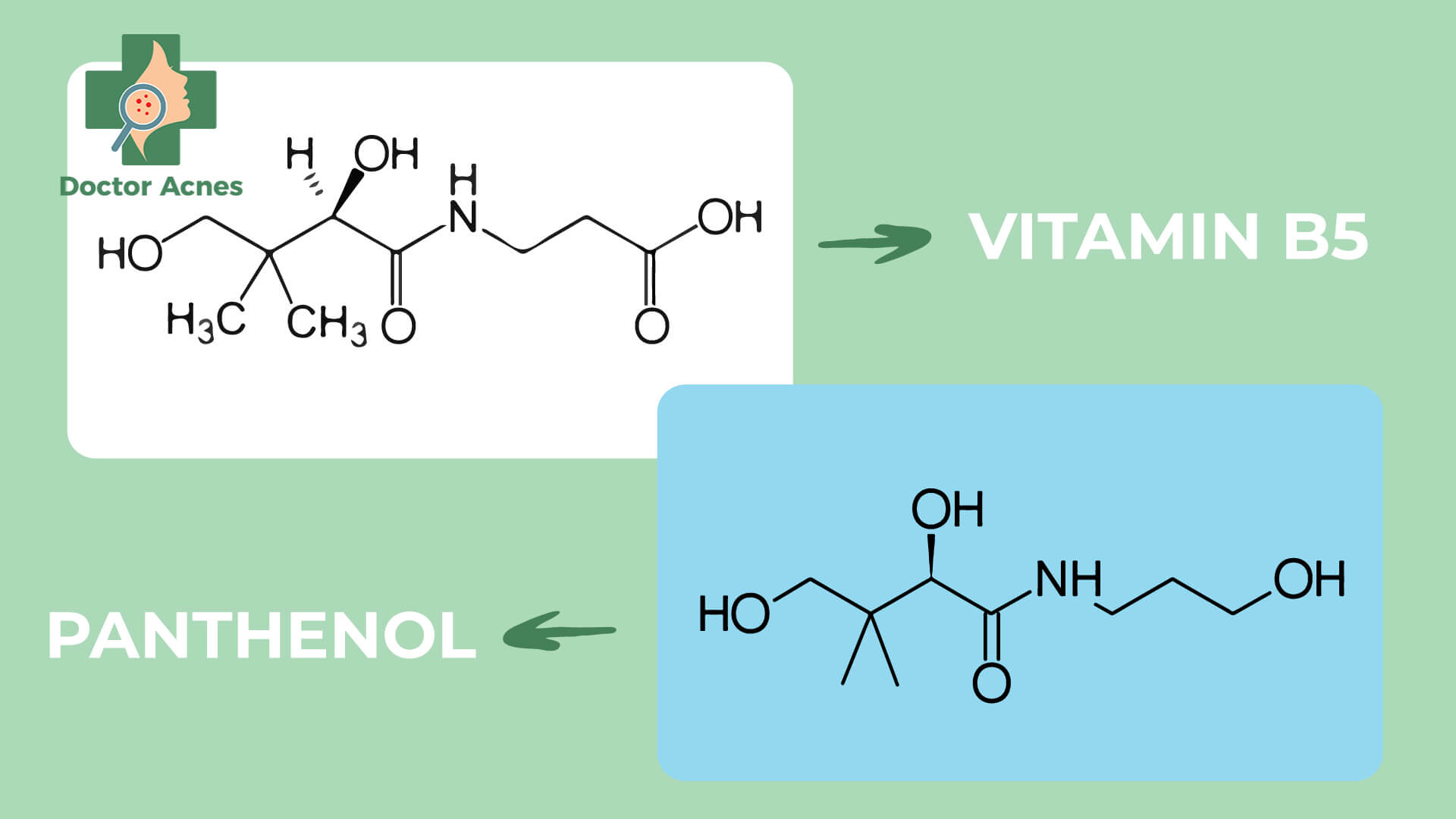 Tác dụng của vitamin B5 với làn da? Cách sử dụng và bổ sung hiệu quả