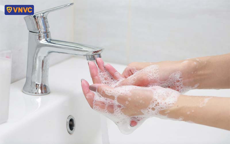 Bị chó cắn nên làm gì? 6 cách xử lý và sơ cứu an toàn, bài bản