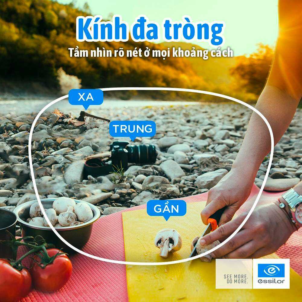 Đa Tròng | Cập Nhật Bảng Giá 2024