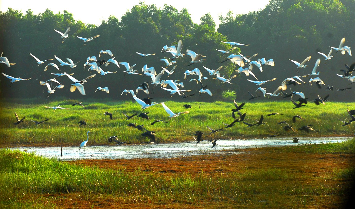 Top 20 địa điểm du lịch miền Tây mà bạn nên check-in một lần