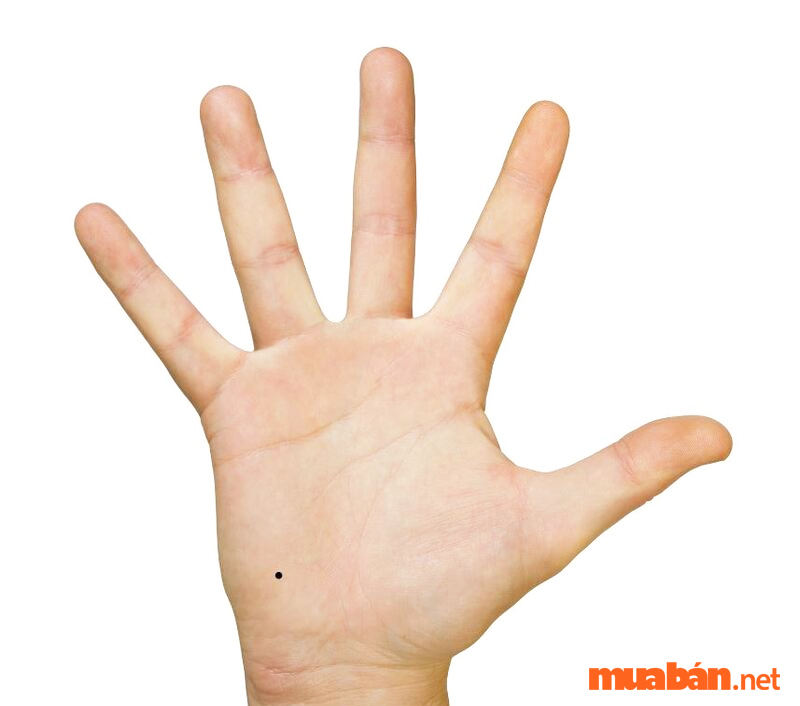 Luận giải nốt ruồi trong lòng bàn tay nam và nữ tốt hay xấu?