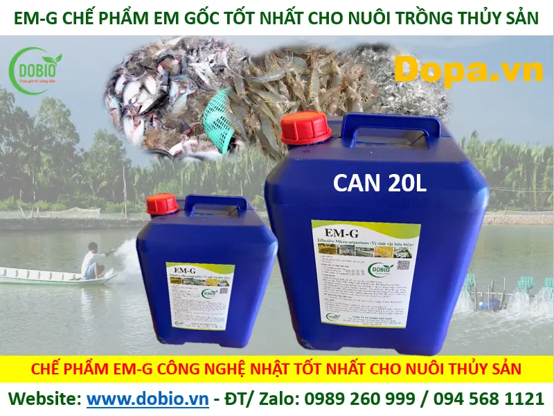 CHẾ PHẨM MEN VI SINH EM GỐC TỐT HIỆU QUẢ NHẤT CHO NUÔI THỦY SẢN CÁ TÔM