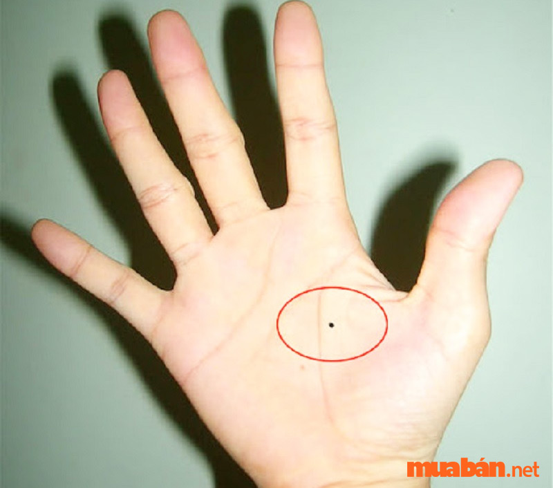 Luận giải nốt ruồi trong lòng bàn tay nam và nữ tốt hay xấu?