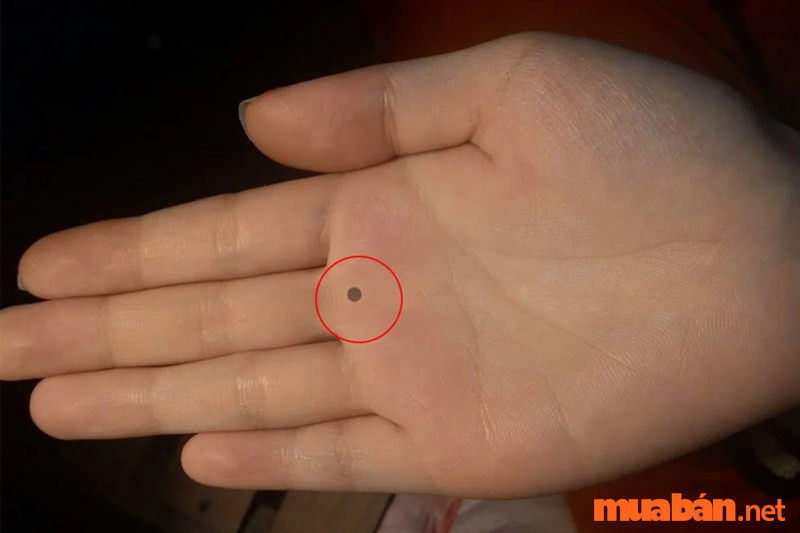 Luận giải nốt ruồi trong lòng bàn tay nam và nữ tốt hay xấu?