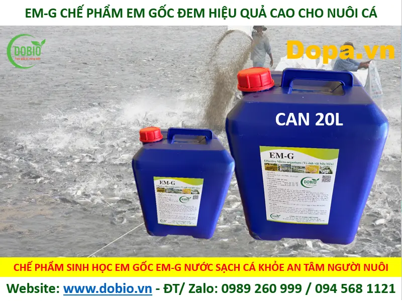 CHẾ PHẨM MEN VI SINH EM GỐC TỐT HIỆU QUẢ NHẤT CHO NUÔI THỦY SẢN CÁ TÔM