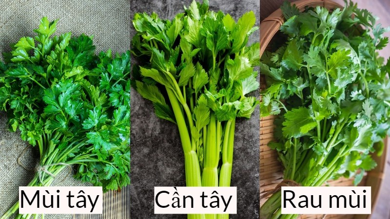 Rau mùi tây Parsley là gì? Có tác dụng gì? Phân biệt mùi tây, cần tây, mùi