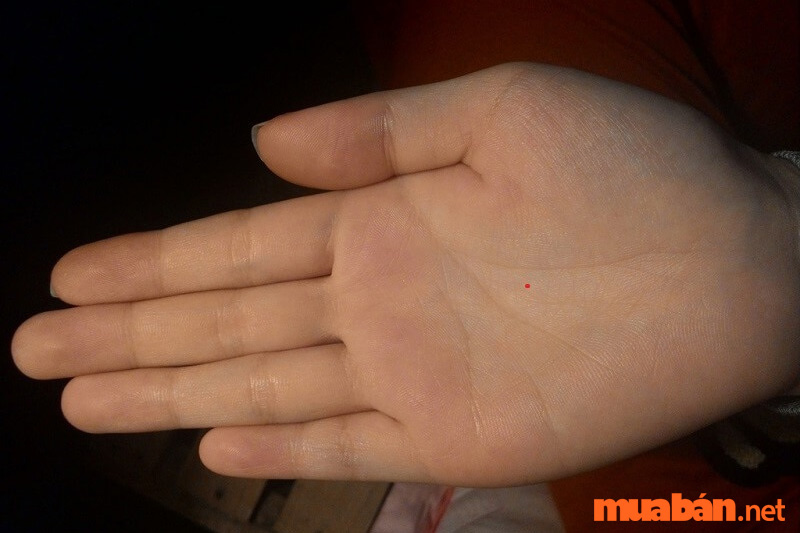 Luận giải nốt ruồi trong lòng bàn tay nam và nữ tốt hay xấu?