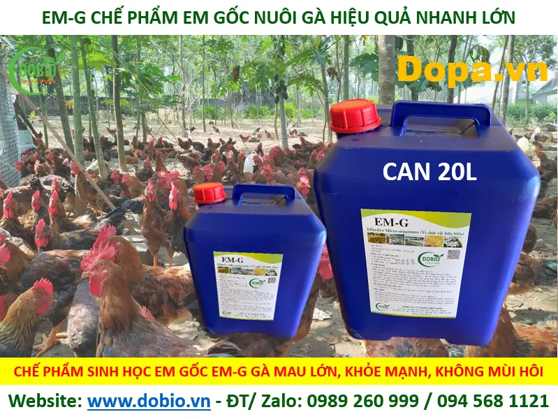 CHẾ PHẨM MEN VI SINH EM GỐC TỐT HIỆU QUẢ NHẤT CHO NUÔI THỦY SẢN CÁ TÔM