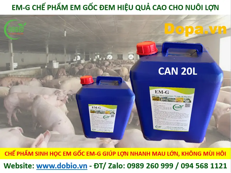 CHẾ PHẨM MEN VI SINH EM GỐC TỐT HIỆU QUẢ NHẤT CHO NUÔI THỦY SẢN CÁ TÔM