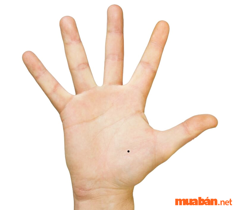 Luận giải nốt ruồi trong lòng bàn tay nam và nữ tốt hay xấu?