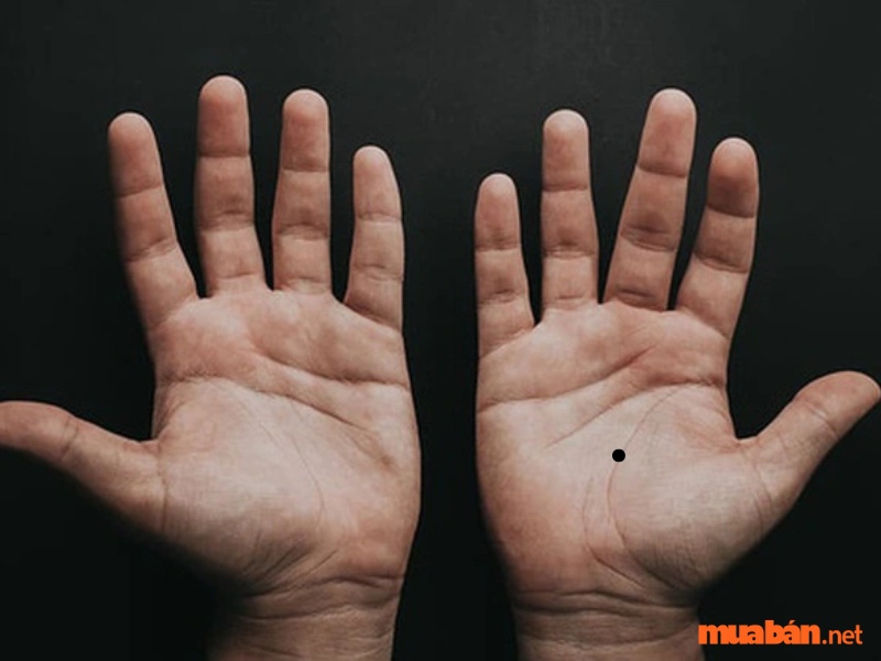Luận giải nốt ruồi trong lòng bàn tay nam và nữ tốt hay xấu?