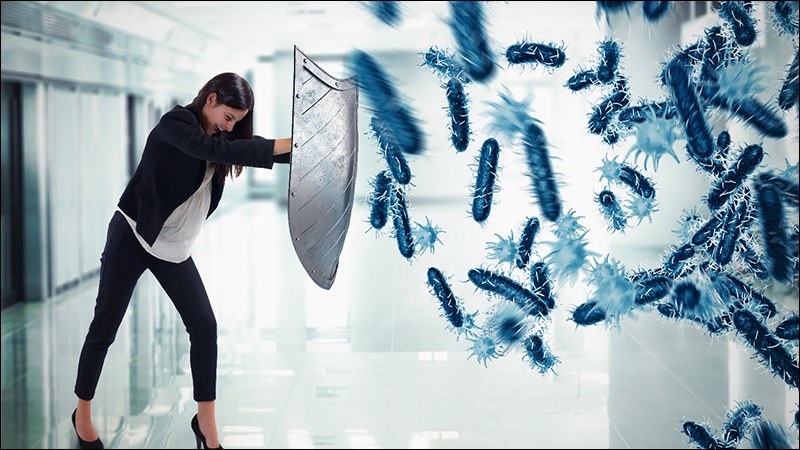 Rau mùi tây Parsley là gì? Có tác dụng gì? Phân biệt mùi tây, cần tây, mùi