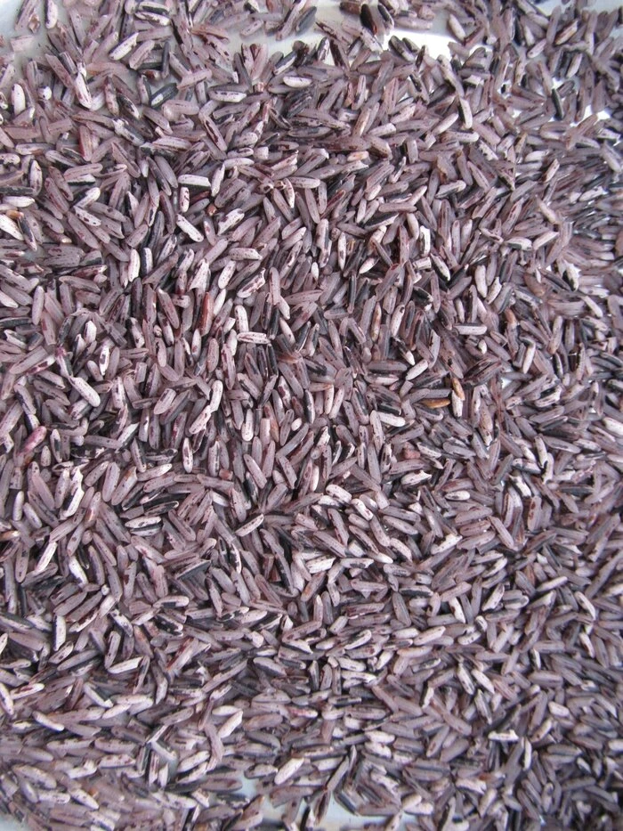 Gạo Nương Tím Tây Bắc là gì? Gạo Nương Tím Có Phải Gạo Lứt Không?