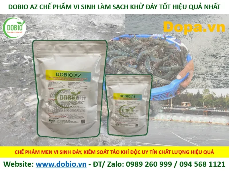 Mua chế phẩm men vi sinh xử lý khử đáy ao nuôi tốt hiệu quả ở đâu?