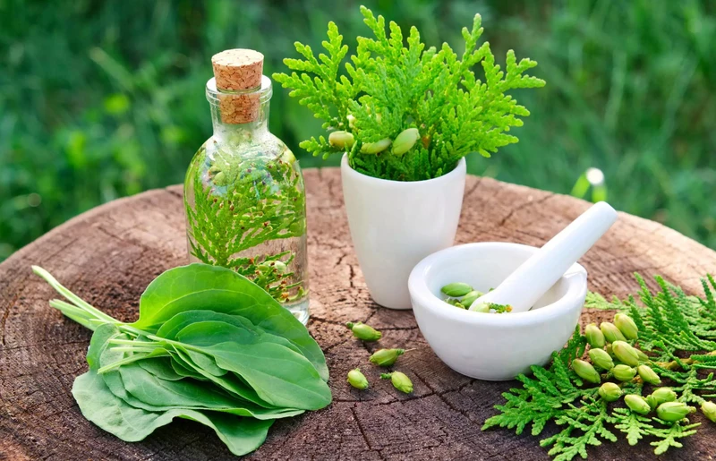 Ghẻ nước ở tay: Nguyên nhân, triệu chứng và phương pháp điều trị