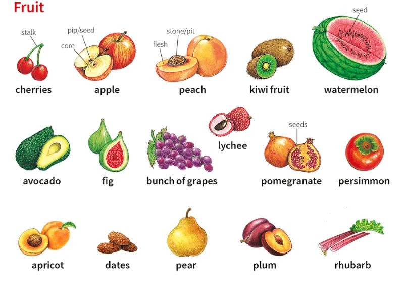 Dâu tây tiếng Anh là gì và lợi ích của trái cây