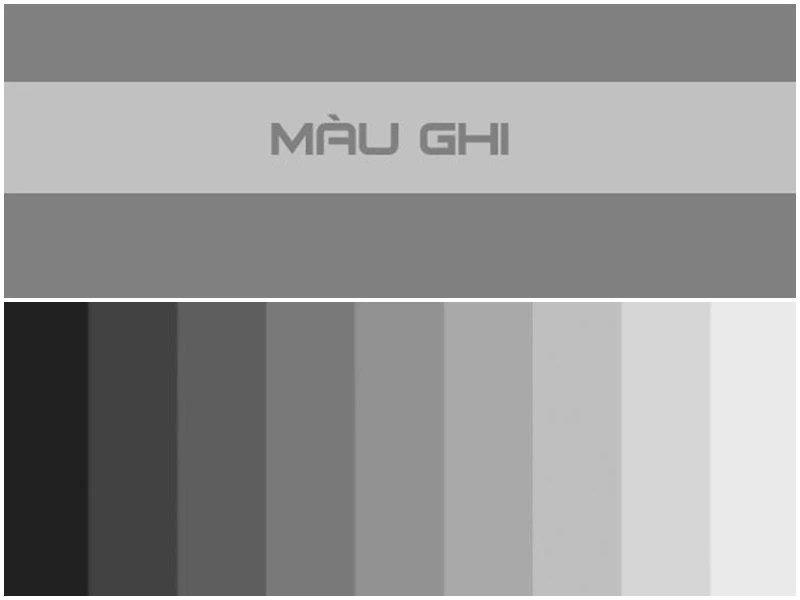 Tại sao áo màu ghi trở thành xu hướng thời trang hiện đại