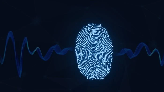 Hoa tay là gì và ý nghĩa của những vòng xoáy trên tay