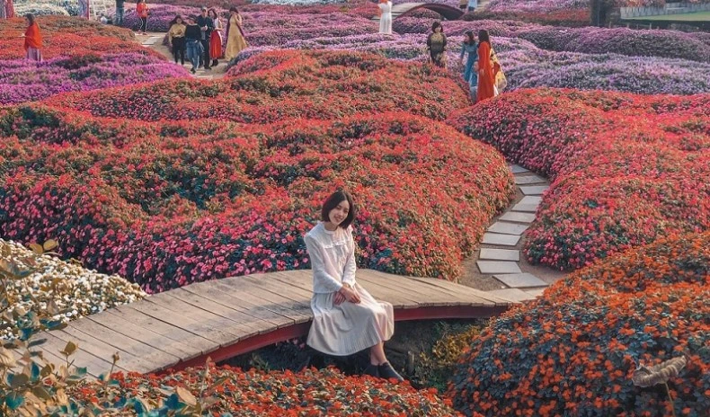 Khám Phá Thung Lũng Hoa Hồ Tây Tại Ba Nhất Chiều