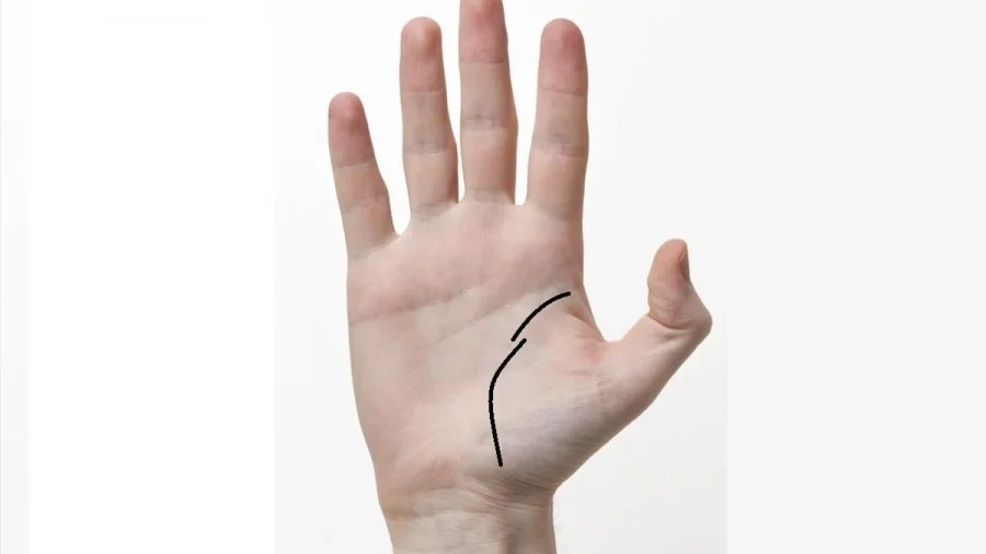 Những đường chỉ tay xấu và ý nghĩa của chúng