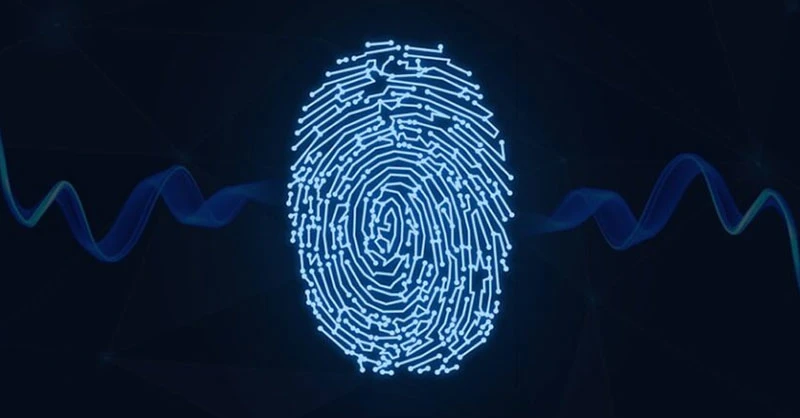 Tìm hiểu về hoa tay và ý nghĩa trong nhân tướng học