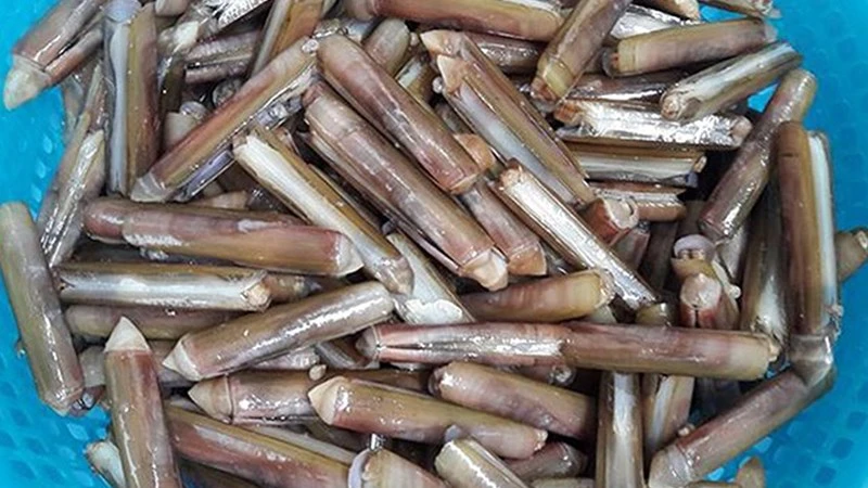 Cách làm ốc móng tay đơn giản tại nhà