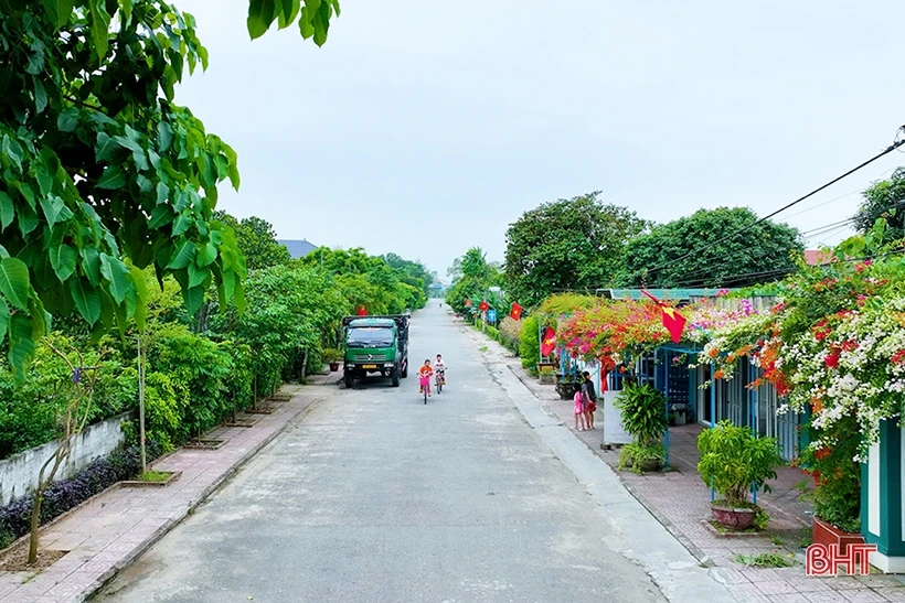 Ngắm dàn hoa giấy rực rỡ nơi miền nông thôn mới Nghi Xuân | Cổng TTĐT tỉnh Hà Tĩnh