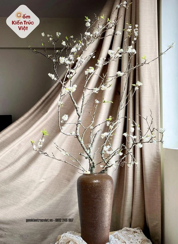 [Giải đáp] Đặc điểm, nguồn gốc và ý nghĩa đặc biệt của hoa tuyết mai