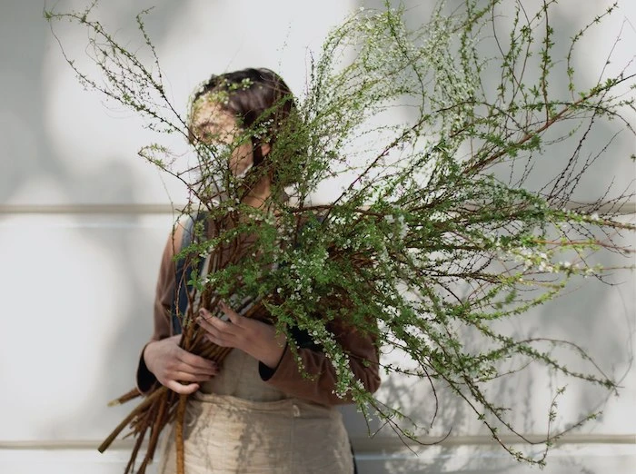 Khám Phá Vẻ Đẹp Hoa Tuyết Mai Trong Thiên Nhiên