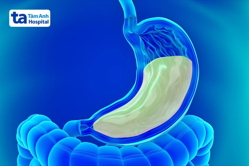 Men tiêu hóa có tác dụng gì? 5 vai trò quan trọng với sức khỏe