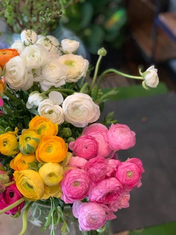 Ý Nghĩa 'Ít Ai Ngờ' Của Hoa Mao Lương - Saigon Roses Blog