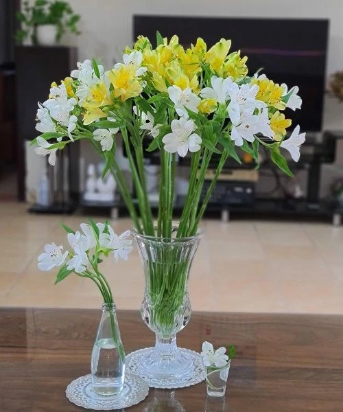 Hoa Thủy Tiên - Sứ Giả Của May Mắn Và Hạnh Phúc