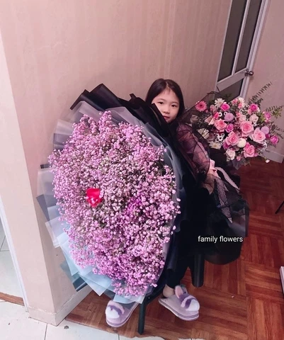 Khám Phá Ý Nghĩa Sâu Sắc Của Hoa Baby