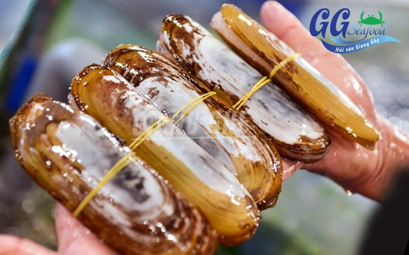 Khám Phá Giá Trị Dinh Dưỡng Từ Con Móng Tay