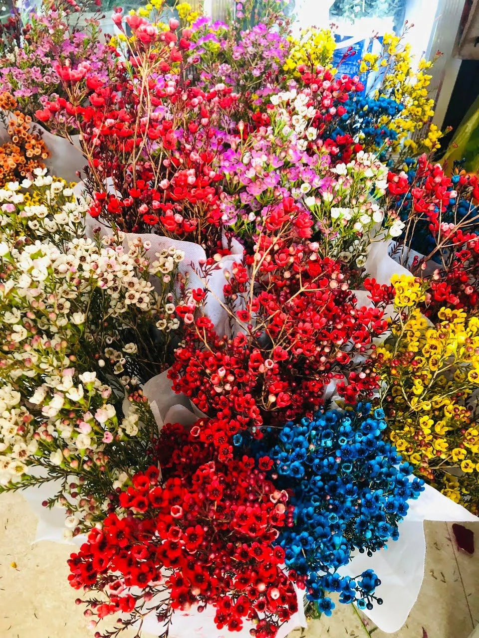 Đặc Điểm Và Ý Nghĩa Của Hoa Thanh Liễu