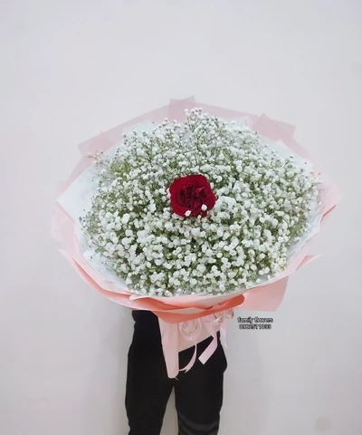 Ý nghĩa hoa baby với từng màu sắc - Ý nghĩa hoa baby .