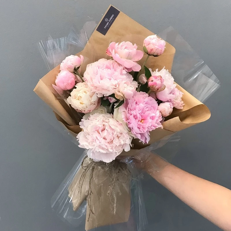 Hoa mẫu đơn: Tìm hiểu ý nghĩa, đặc điểm cách trồng và chăm sóc