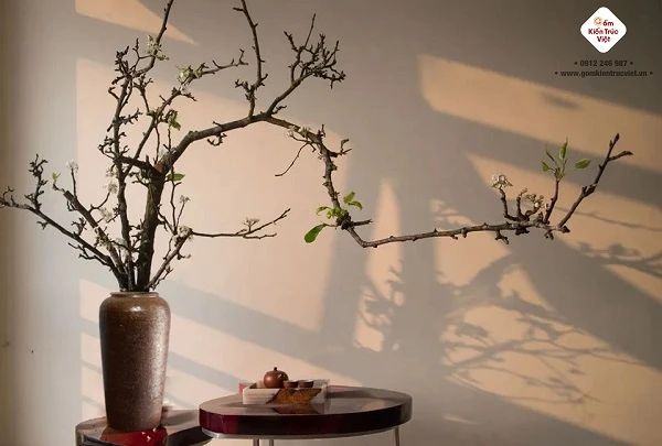 [Giải đáp] Đặc điểm, nguồn gốc và ý nghĩa đặc biệt của hoa tuyết mai