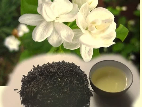 Hoa lài ta kép (nhài ta) E1