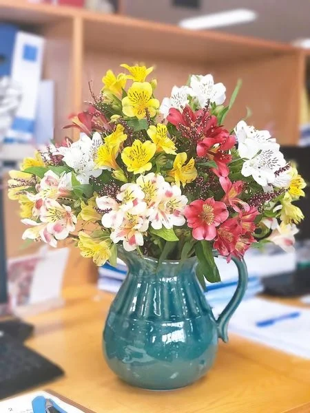 Hoa Thủy Tiên - Sứ Giả Của May Mắn Và Hạnh Phúc